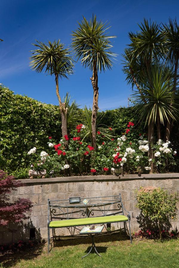 Casa Beatrice Bed & Breakfast Sorrento Exterior photo