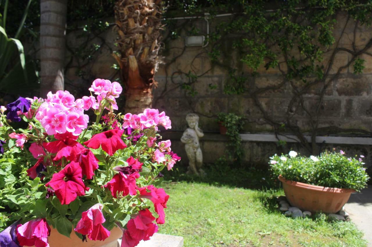 Casa Beatrice Bed & Breakfast Sorrento Exterior photo